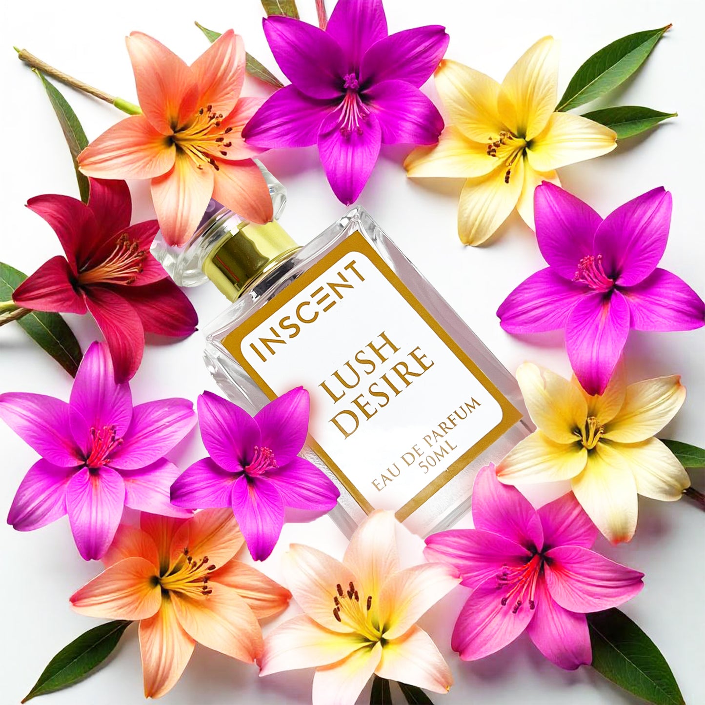Lush Desire